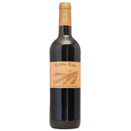 211052  Petit Ceps Rouge 6 st