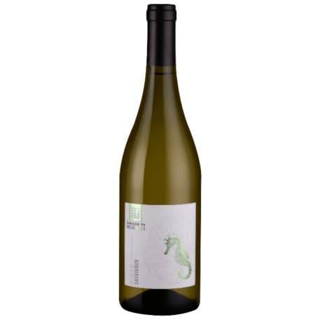 373022 Sauvignon Blanc
