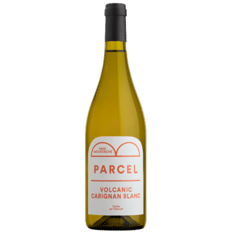 393052 Volcanic Carignan Blanc