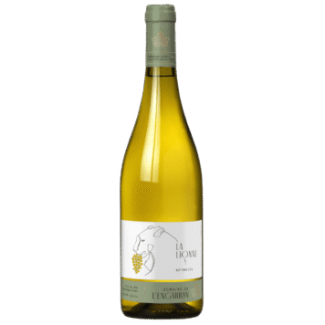 253022 La Lionne Blanc