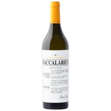313041 Baccalarius Blanc